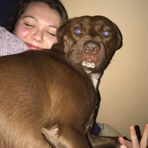 Meet your Posher, Alexandria